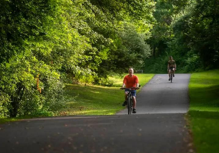 Amherst rail trail section closed for repairs due to animal activity