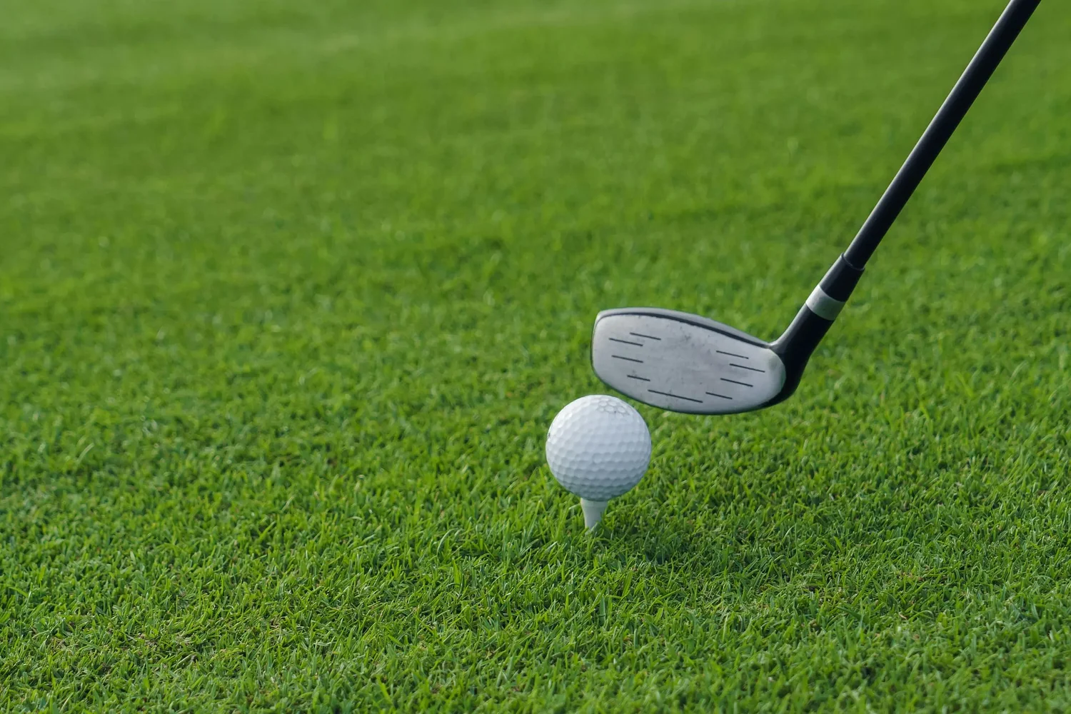 Tucker organization hosts golf tournament to combat food insecurity