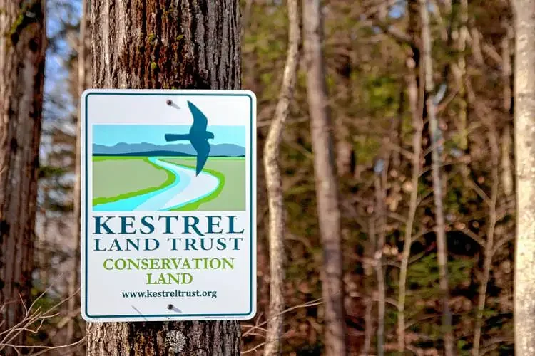 Major conservation deal protects nearly 2,900 acres of forests in region