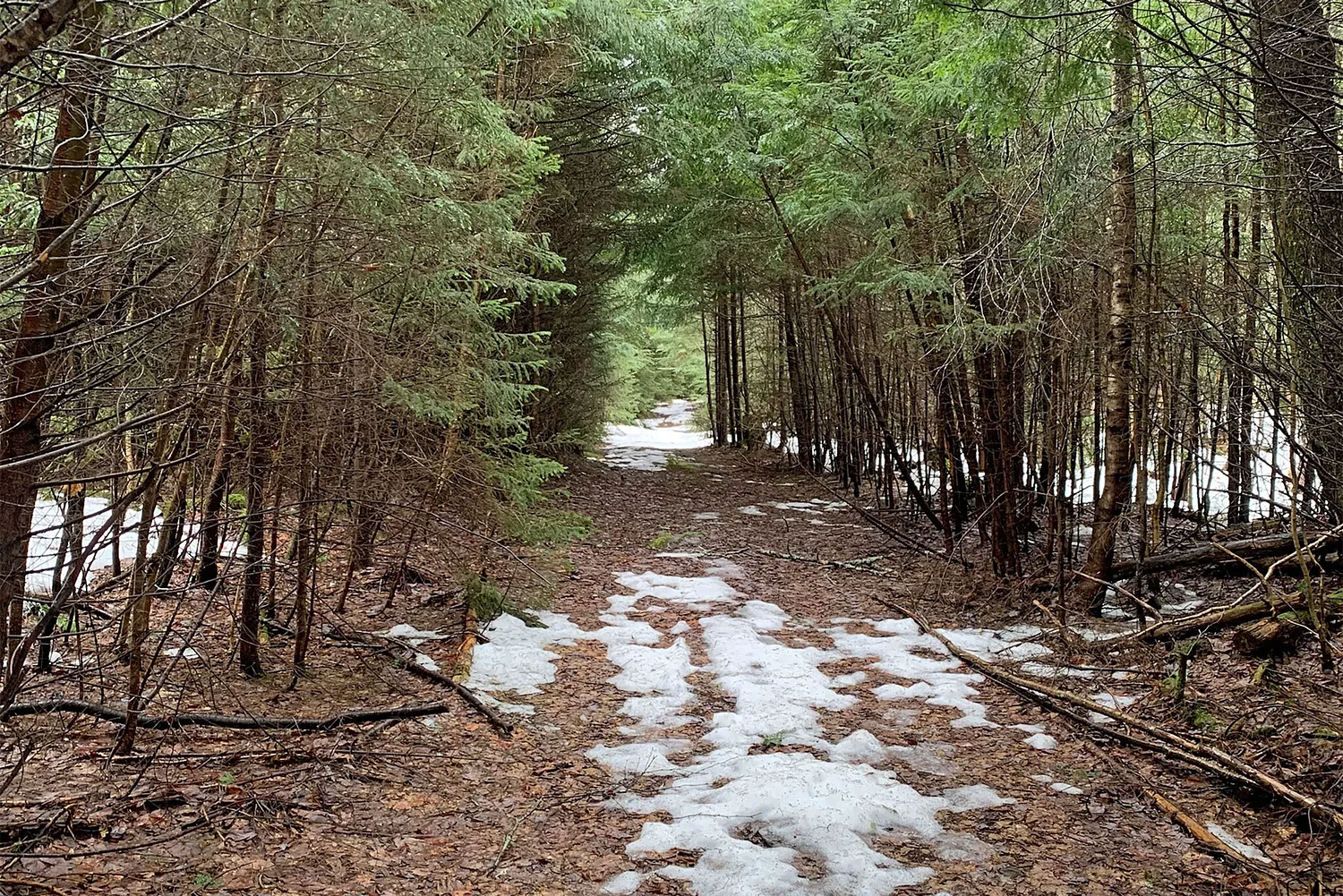 Vermont organizations merge accessible recreation and conservation goals in ‘first-of-its-kind’ outdoor center