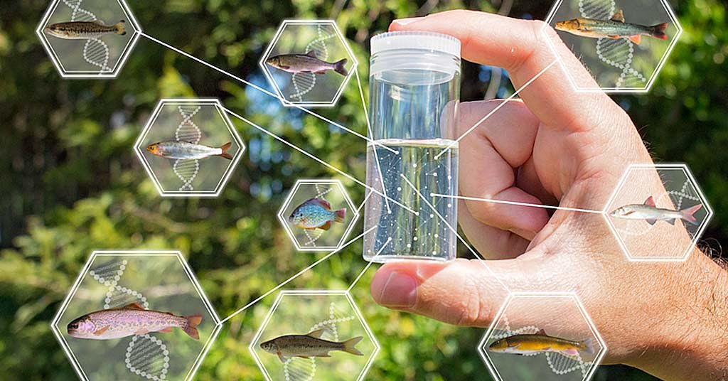 Why WDFW is bringing eDNA project to Washington rivers