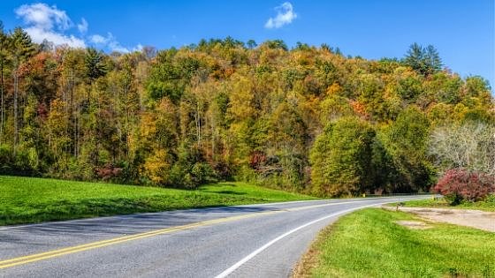 11 Beautiful Spots To See The Fall Foliage In The Smokies