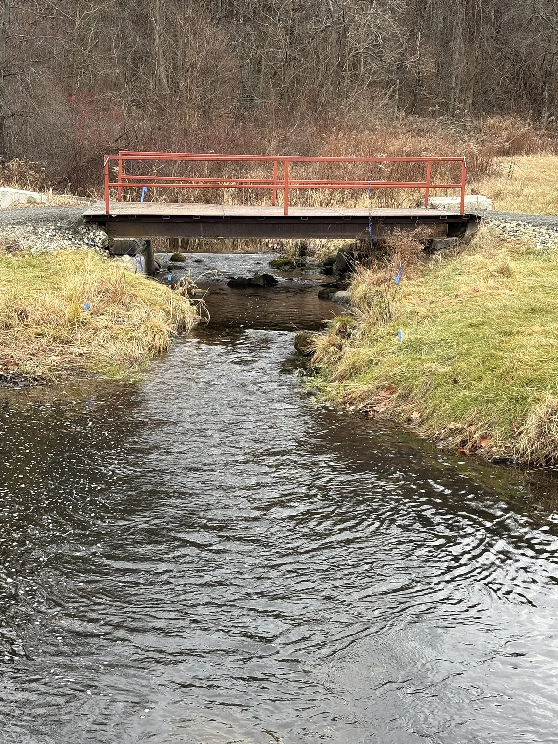 Chance Encounters: Hope and renewal at ‘Bogey Brook’