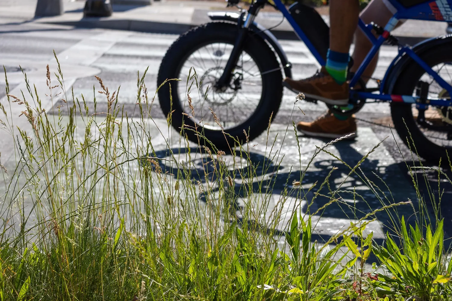City of Eugene considers adding bike lanes to Polk Street