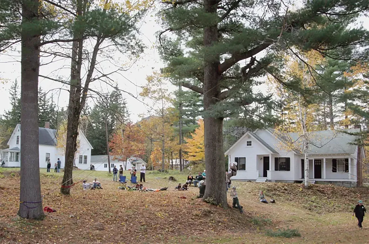 Advocates say ‘no substitute’ for research at NH experimental forest