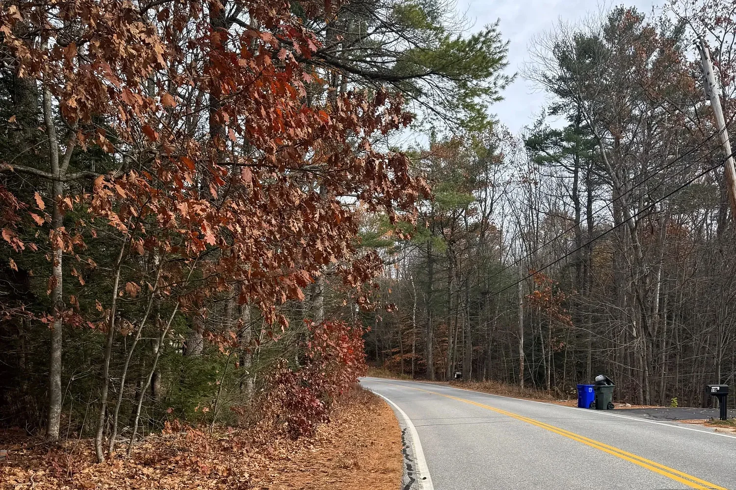 ‘Why are they singling us out?’: Wetland protections in NH town frustrate family’s house construction
