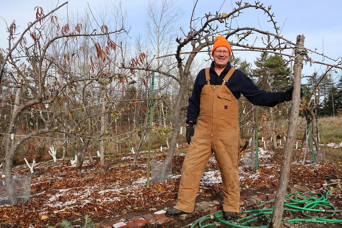 Maine man cultivates hundreds of small, flat fruit trees