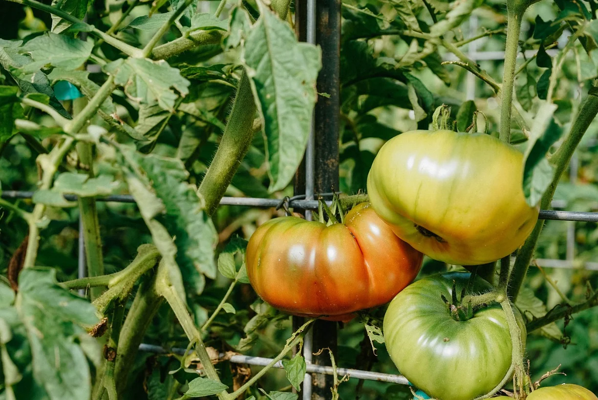 Farmers benefit Seeds & Soil Society Supper set for May 18 at Madeira Park