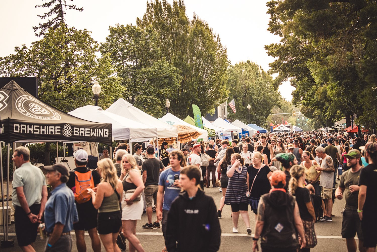 What is the Springfield Block Party?