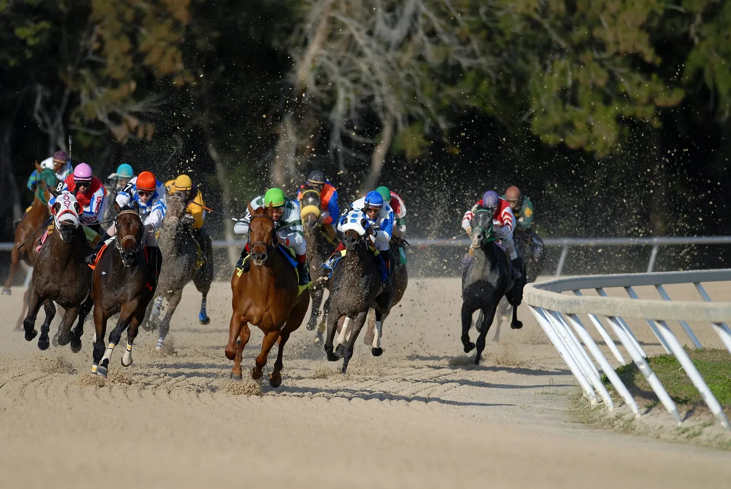 Maryland first lady Dawn Moore announces inaugural Preakness Festival