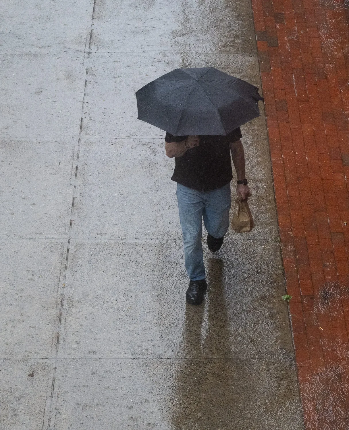 Guest columnist Ellie Cook: A Pedestrian’s Handbook