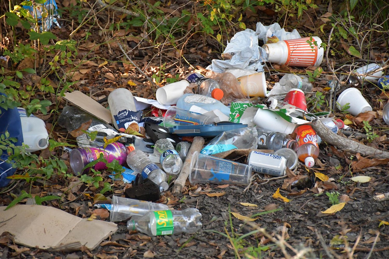 ‘It’s nasty’: Gulfport residents, mayor call for litter cleanup 
