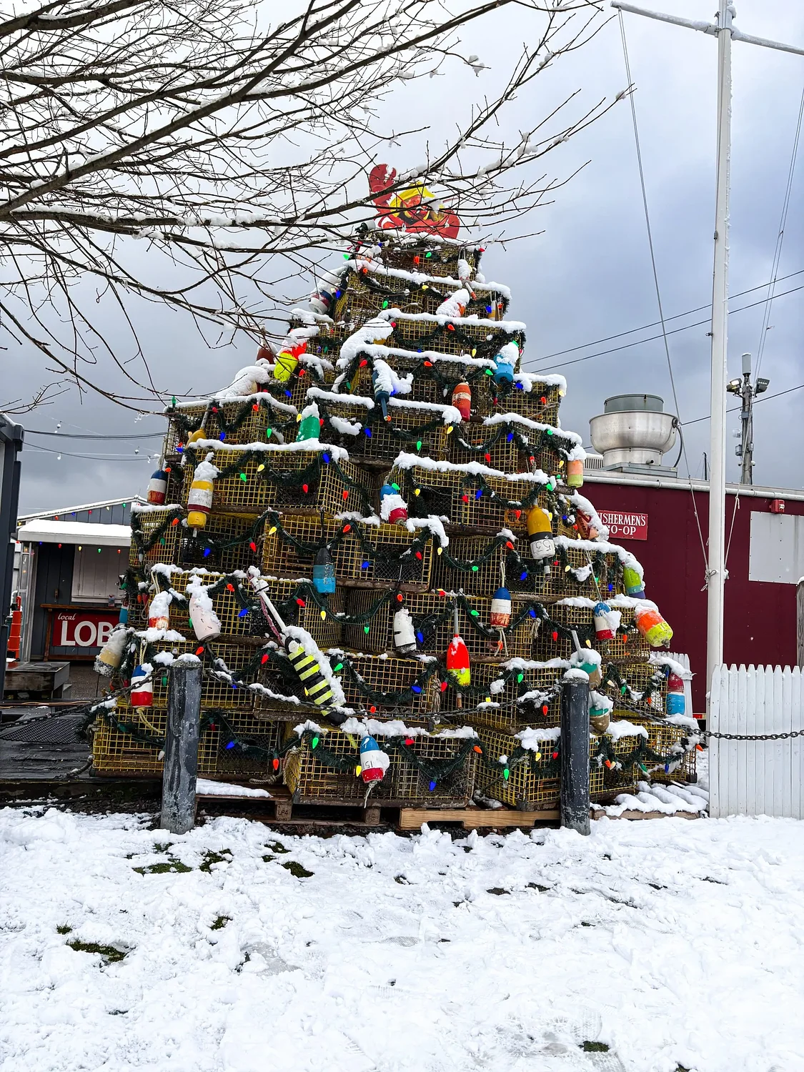 What’s up this weekend in Newport County: Jan. 2 - 4