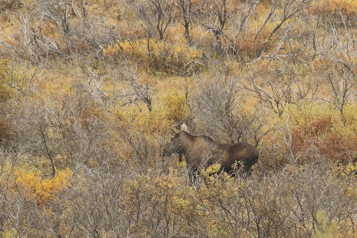 This was the most important lesson of my guiding career