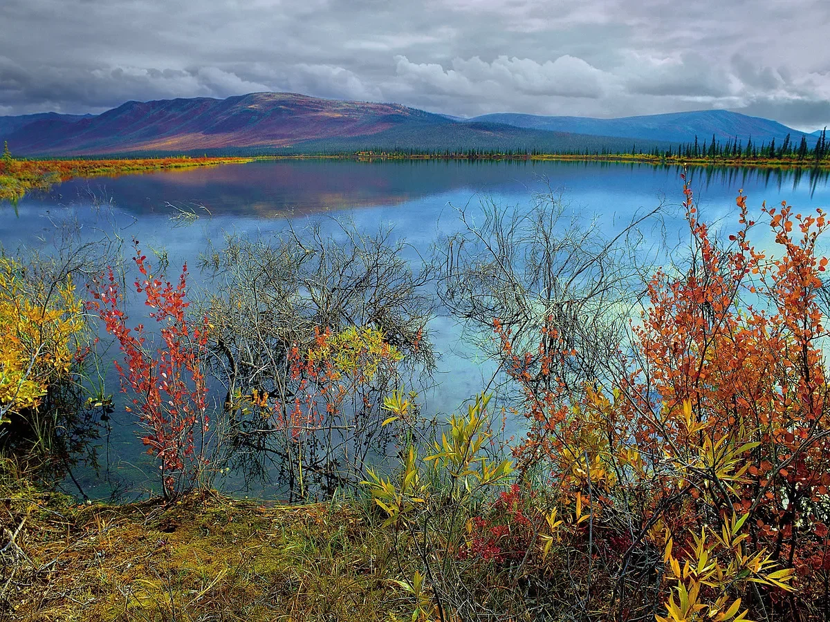 Letter: Oppose drilling in Arctic National Wildlife Refuge