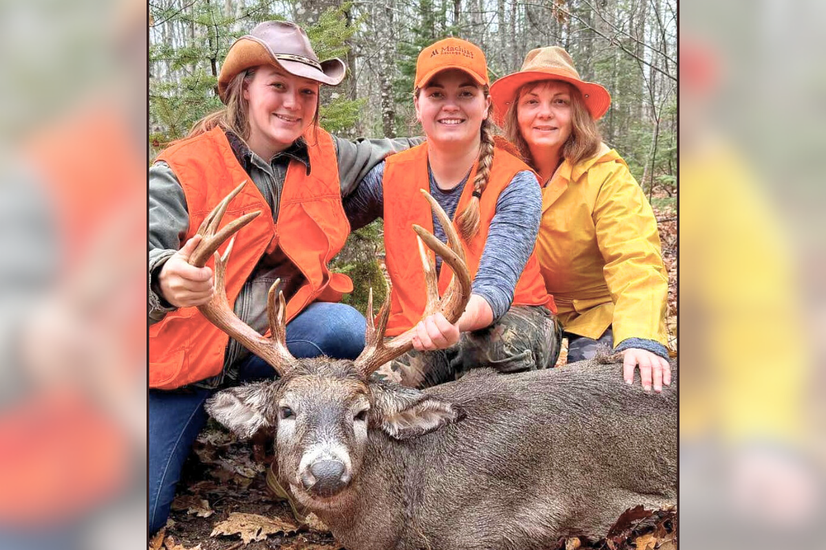 The King of Robb Mountain: A Maine deer hunting story