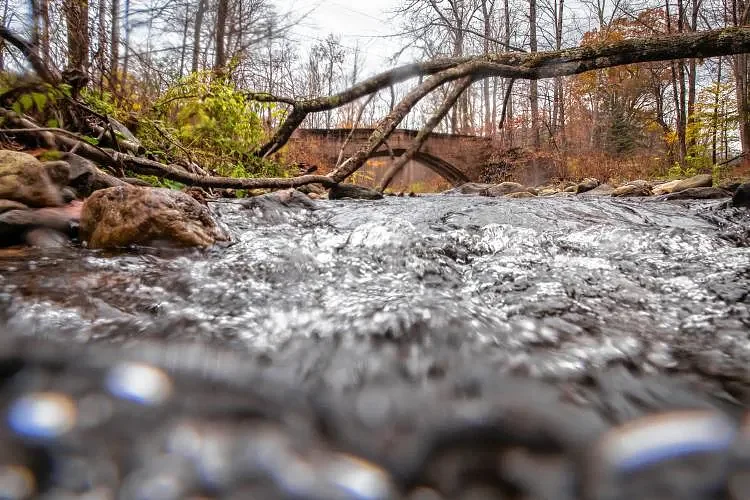 Buckland awarded $100K to further climate resiliency work