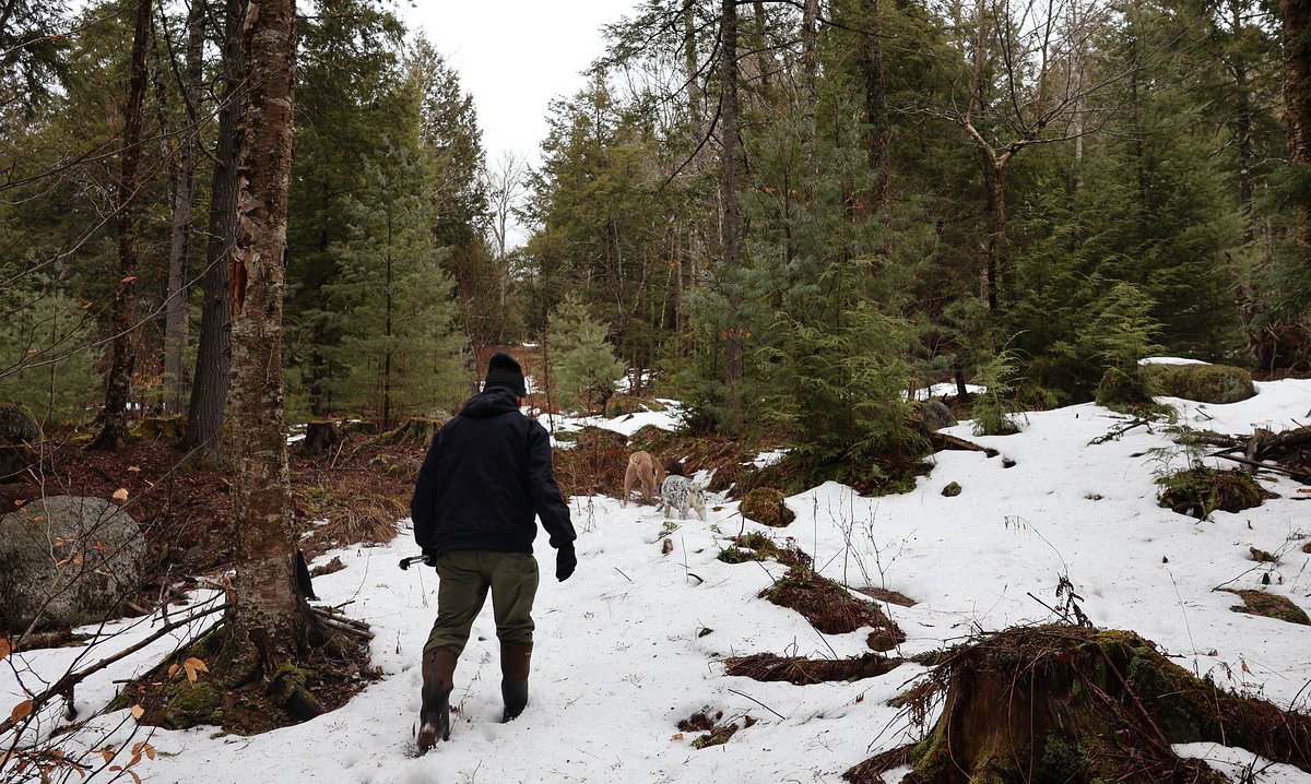 Morning Update: What you need to know in Maine today