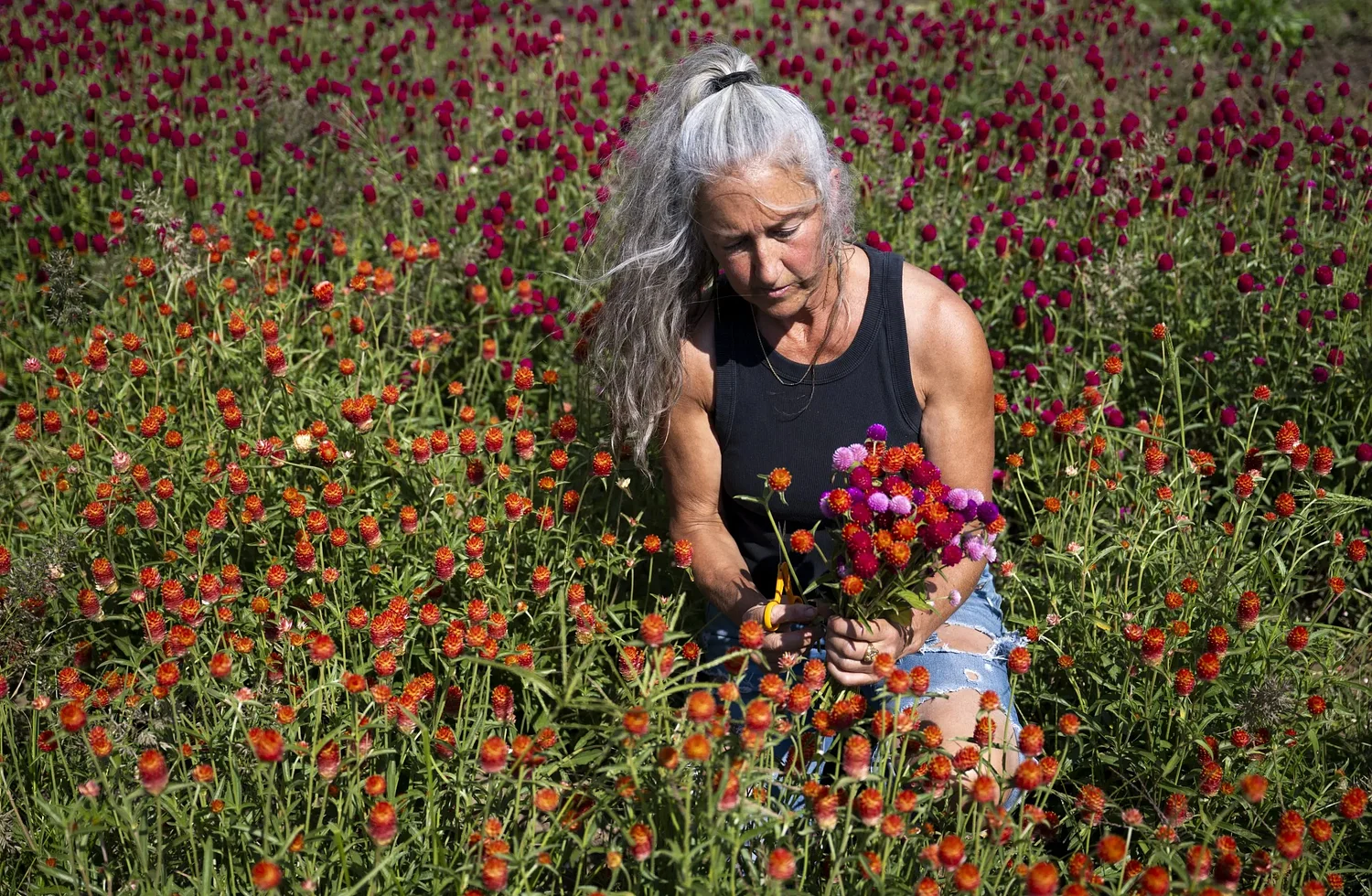 Photos: Bouquet Building