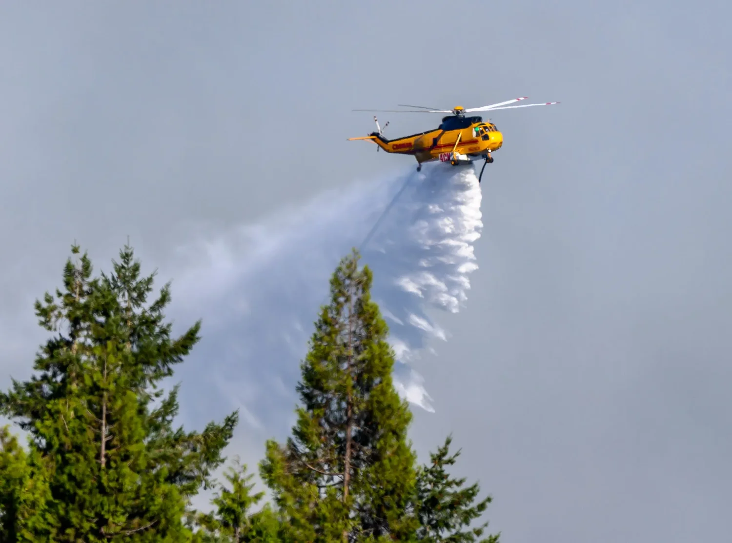 As wildfire season amps up, officials offer guidance on how to prepare