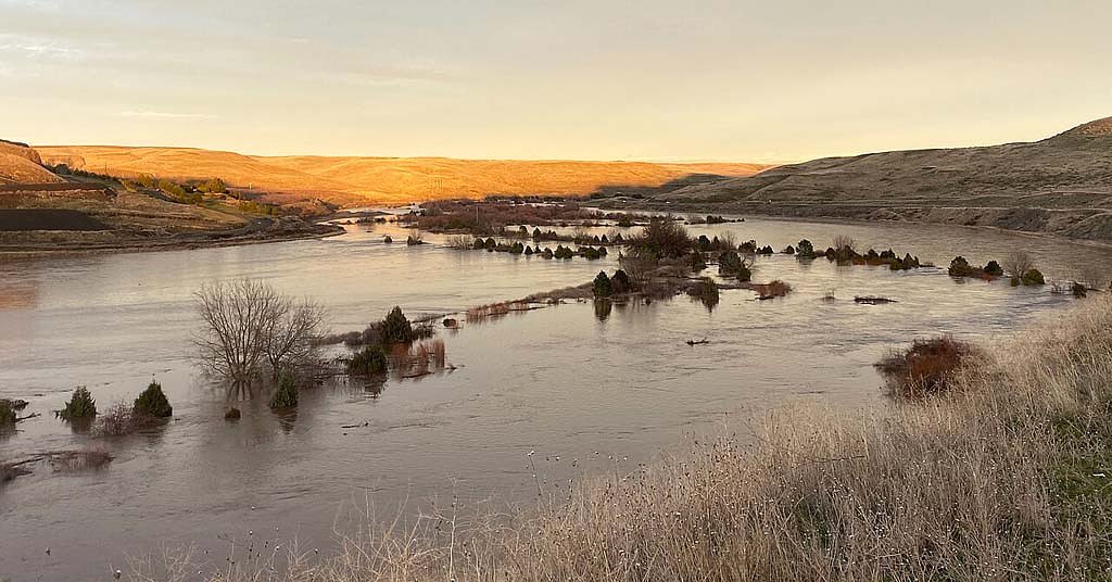 A rare water collaboration is overcoming regulatory obstacles. And benefitting fish