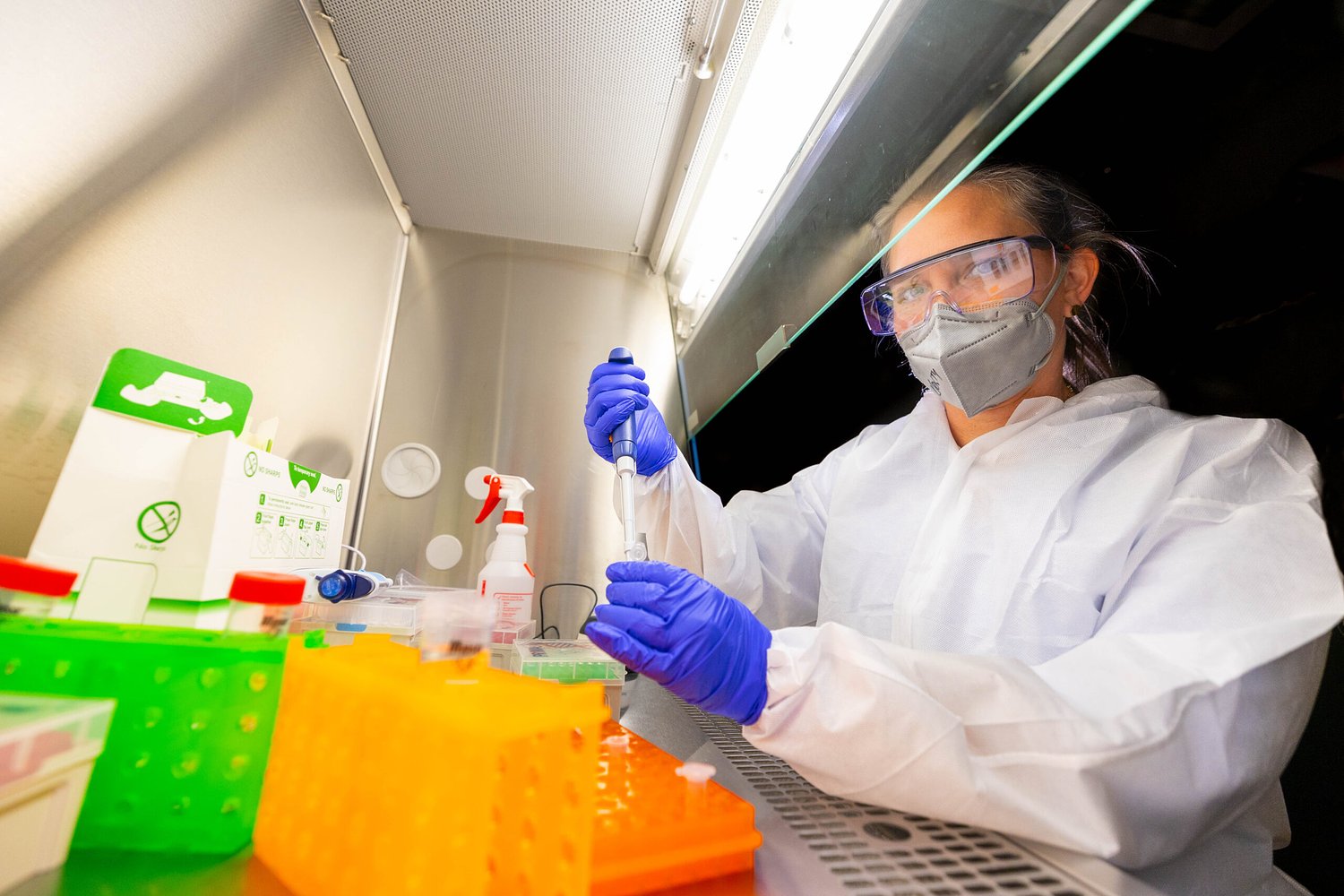 Biotech startup DARO secures $1.1 million for its livestock disease detection technology