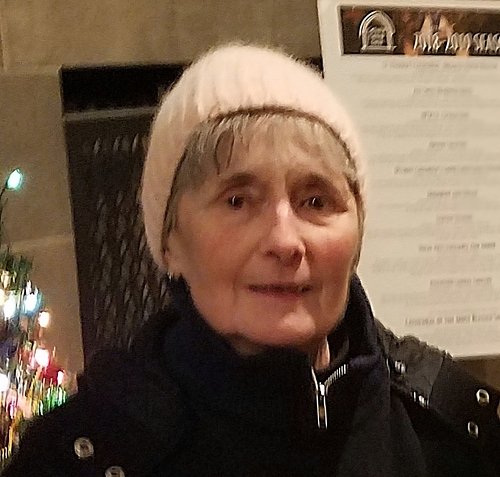 Mira M. Petrovic Braunstein