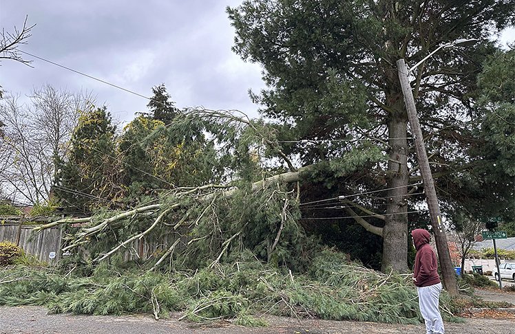 Bomb Cyclone Affirms The Importance Of Emergency And Disaster Preparedness