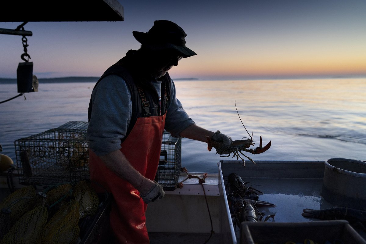 Maine town will create harbormaster post as lobster co-op and seafood giant feud over wharf access