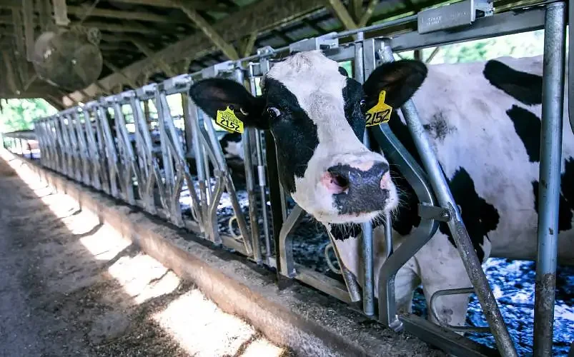 Opinion: Five generations built this farm. Conservation programs help us keep it.