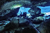 Gulf Coast woman's prehistoric find places her in exclusive club