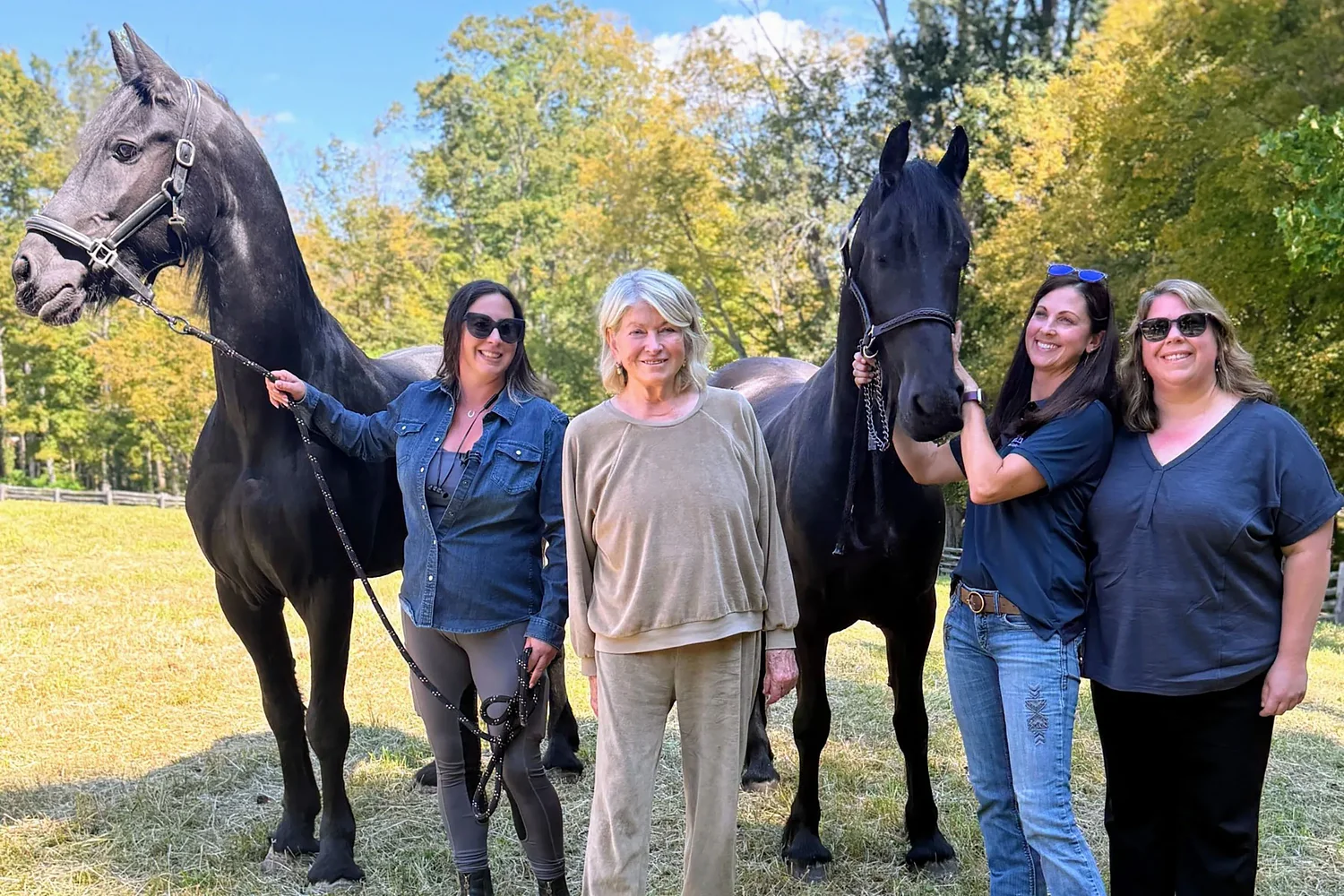 Martha Stewart provides ‘forever home’ to two horses seized in Vermont animal cruelty case