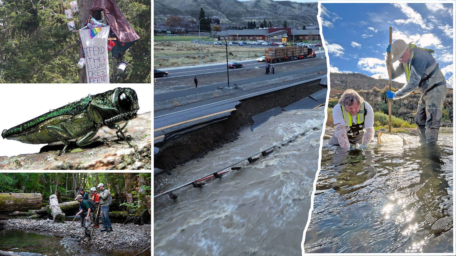 10 biggest environmental stories of 2025