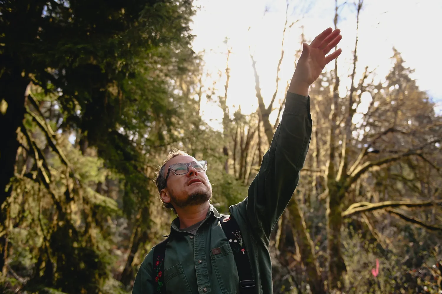 Trump logging push hits home in Lane County’s checkerboard forests