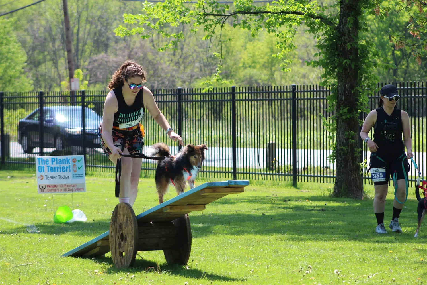 Mutts & Mayhem sees record-breaking participation at annual canine obstacle course challenge in Greenfield