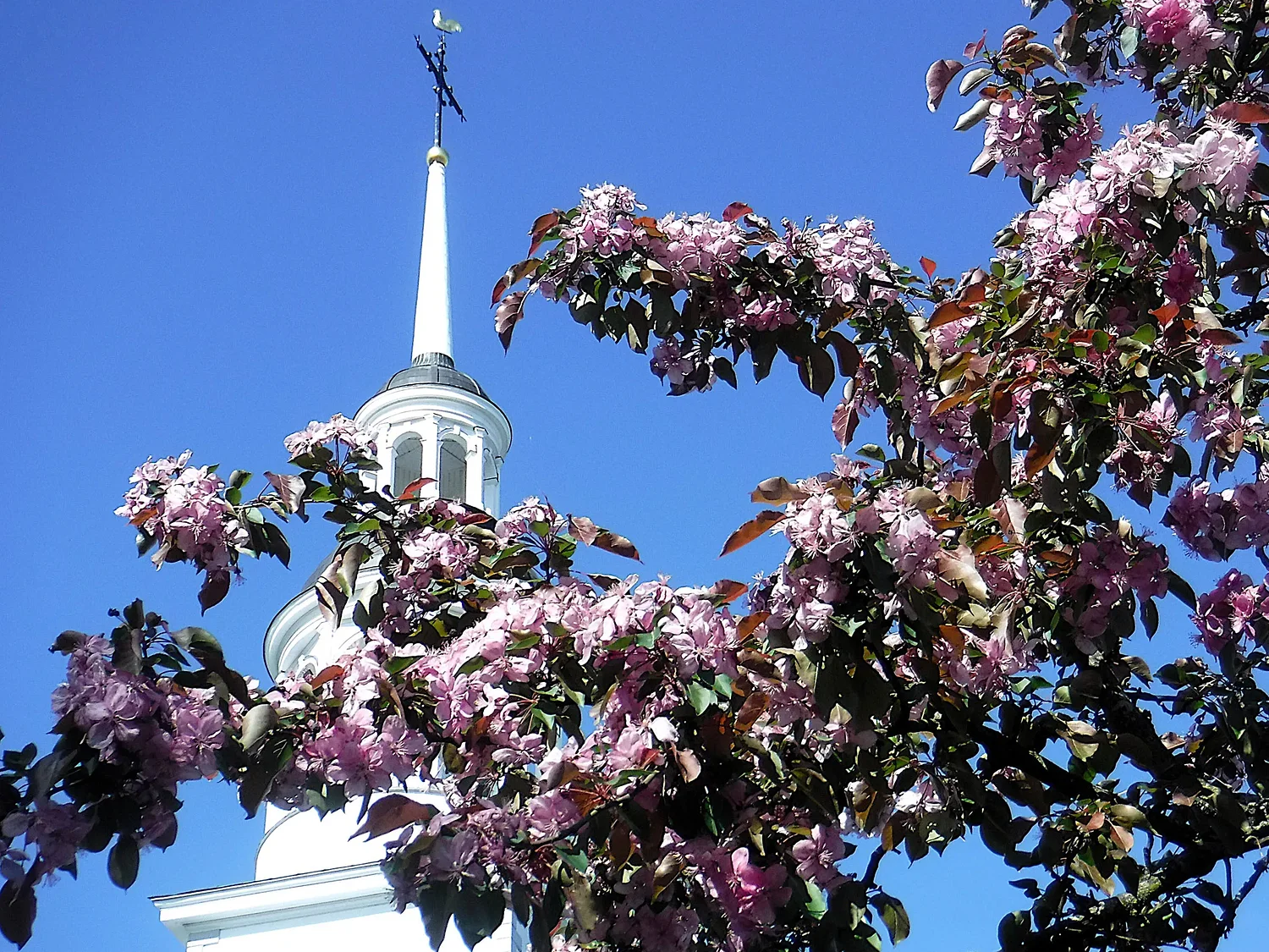 Judge concerned as Vermont Catholic diocese’s bankruptcy case hits $2M in legal bills