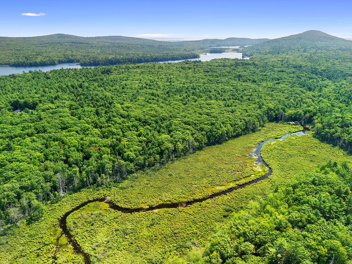 Midcoast land trust buys property crucial for protecting Atlantic salmon habitat