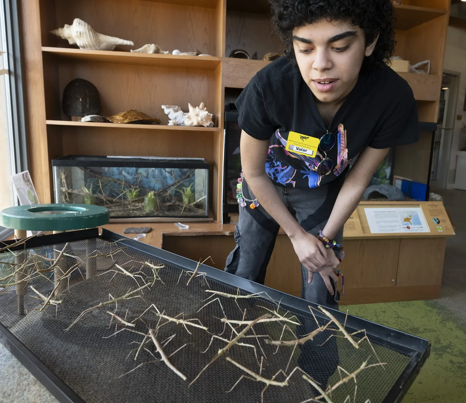 Despite Hampshire College closure, key Amherst cultural sites will stay open