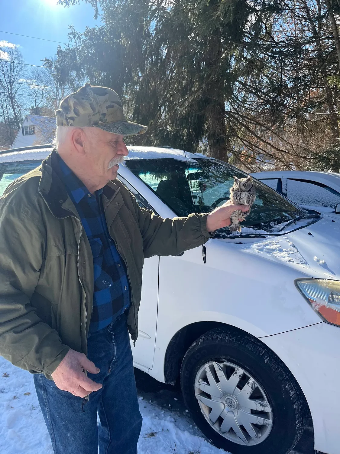 Starting the year off with a hoot: Raptor rehabilitator rescues Eastern screech owl found in Amherst car