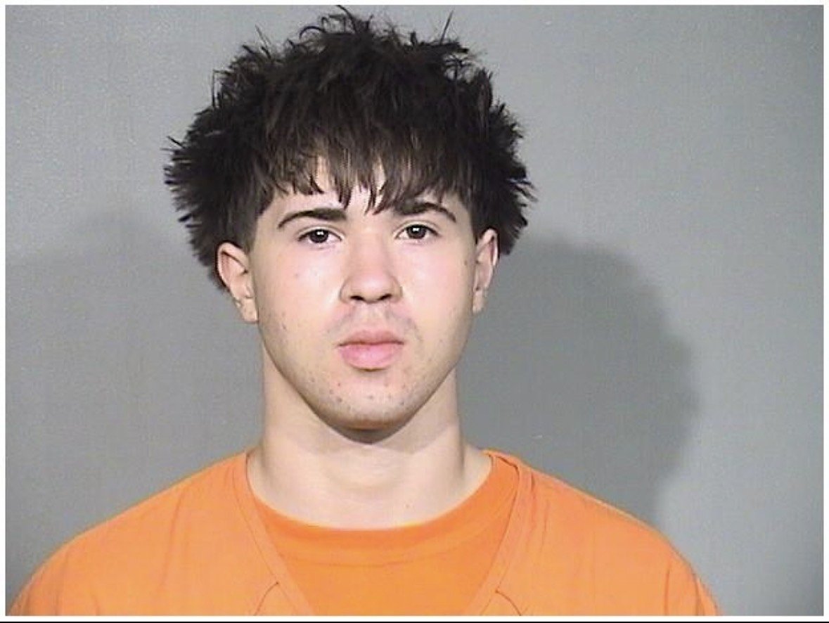 Teen skater charged with beating person with skateboard, fracturing skull, at Crystal Lake train station