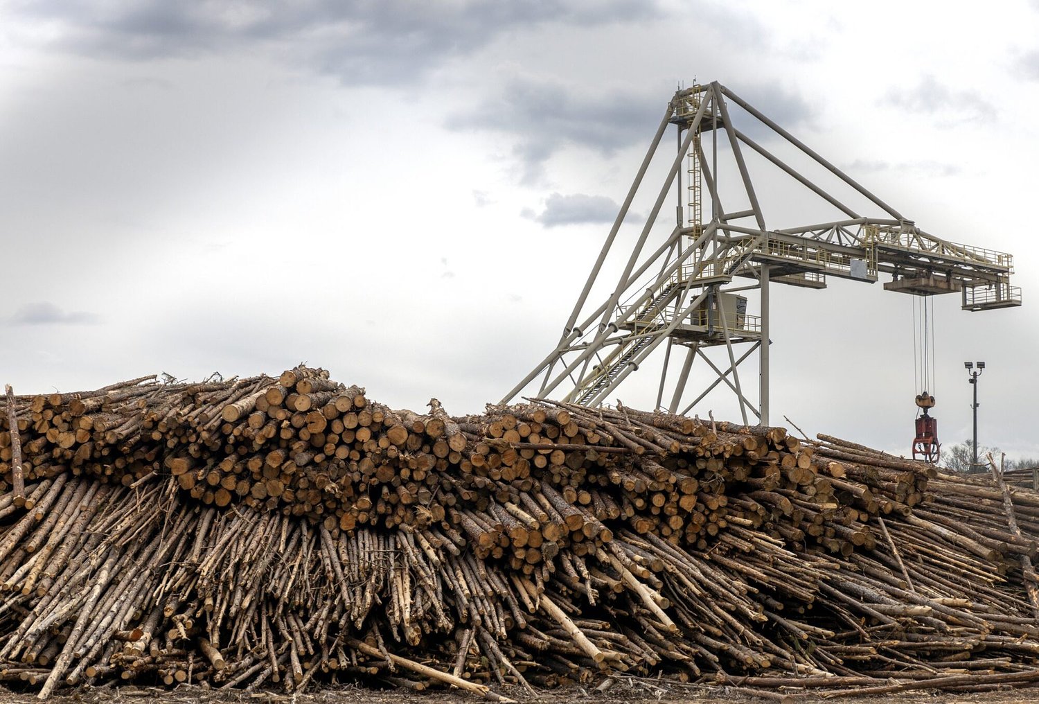 Gloster residents worry about health after Mississippi regulators allow more pollution from wood pellet plant