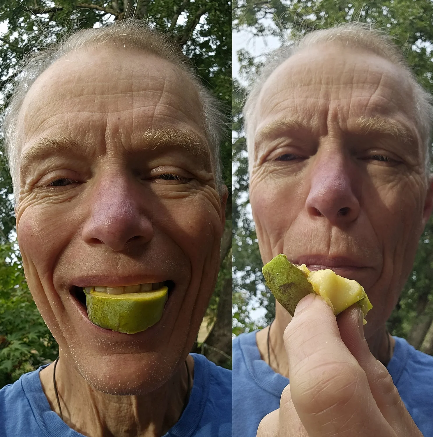Spreading pawpaw magic from Michigan to Eugene