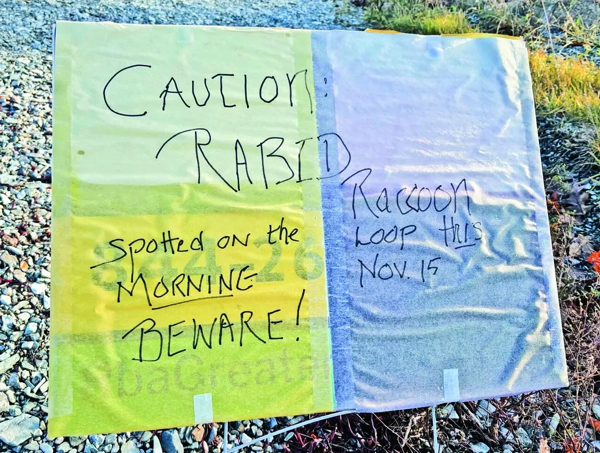 A Maine man shot a rabid skunk with a shotgun. It just kept coming.