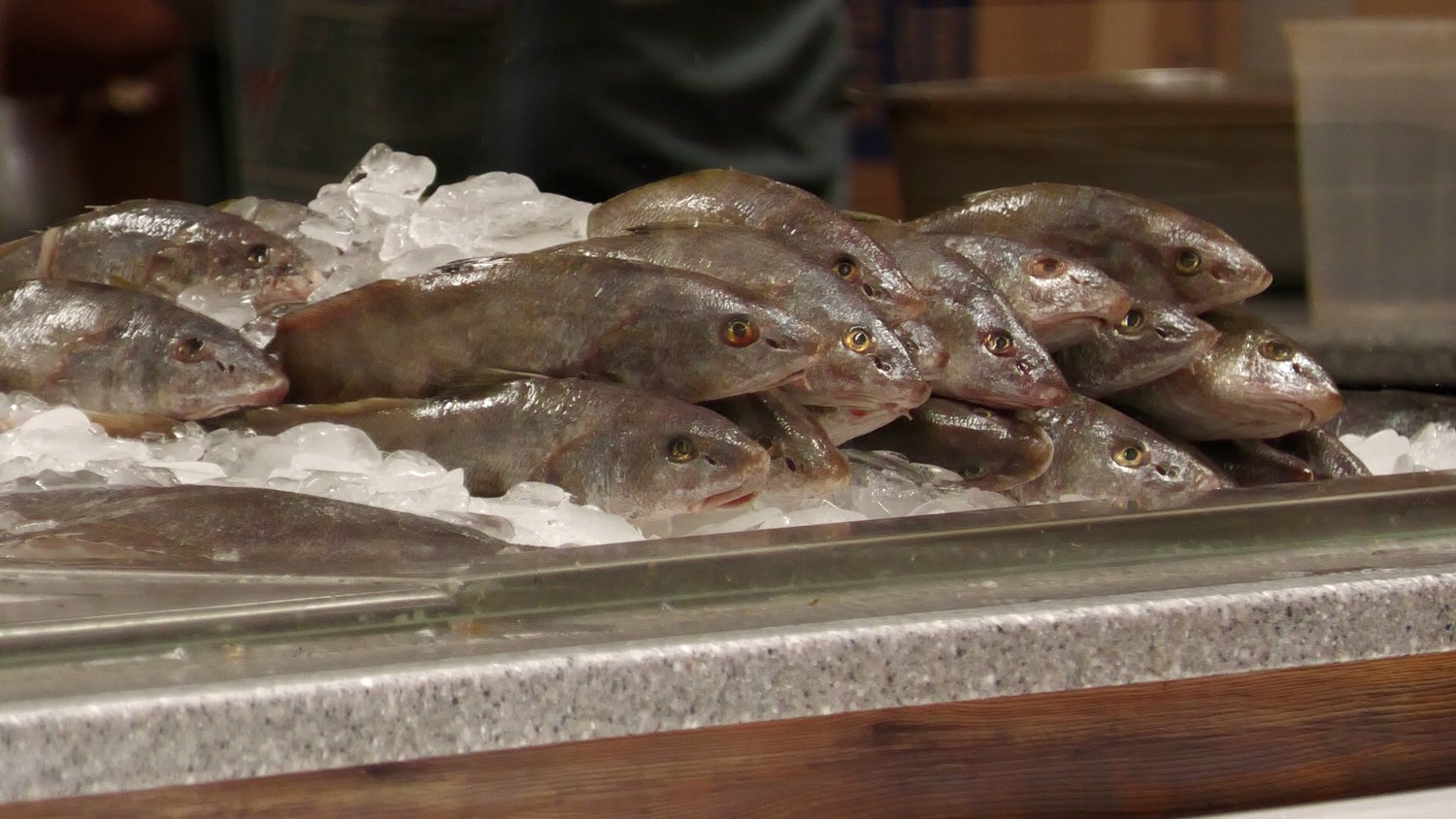 Mississippi Senate considers easing seafood origin labeling rules