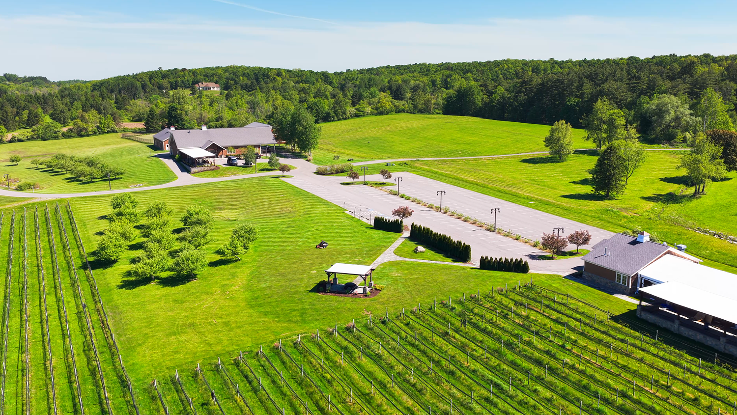 Cazenovia vineyard to reopen with well-known Syracuse restaurateurs