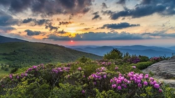 The Best Mother's Day Trip Ideas for 2024