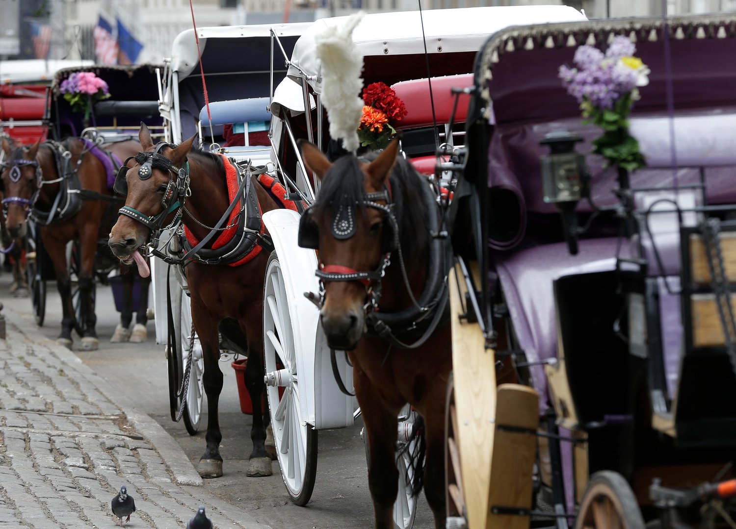 Teen dies after being thrown from horse-drawn carriage in NYC’s Central Park