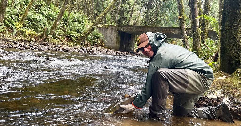 BPA abruptly pulls funding from Columbia River fisheries program