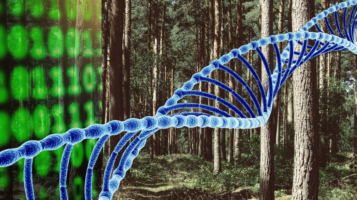 How did a woman’s skeleton end up in the N.J. woods? DNA clues may help solve the mystery.