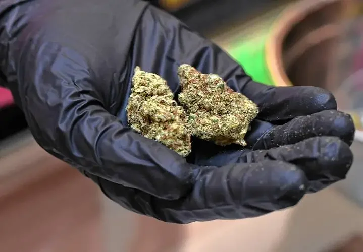 Greenfield officials respond to complaints about speeding, marijuana smoking in public